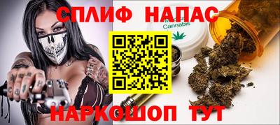 стафф Славгород