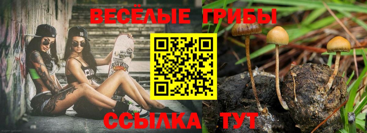Галлюциногенные грибы Cubensis  Вход с VPN  Нальчик  Галлюциногенные грибы мухоморы 