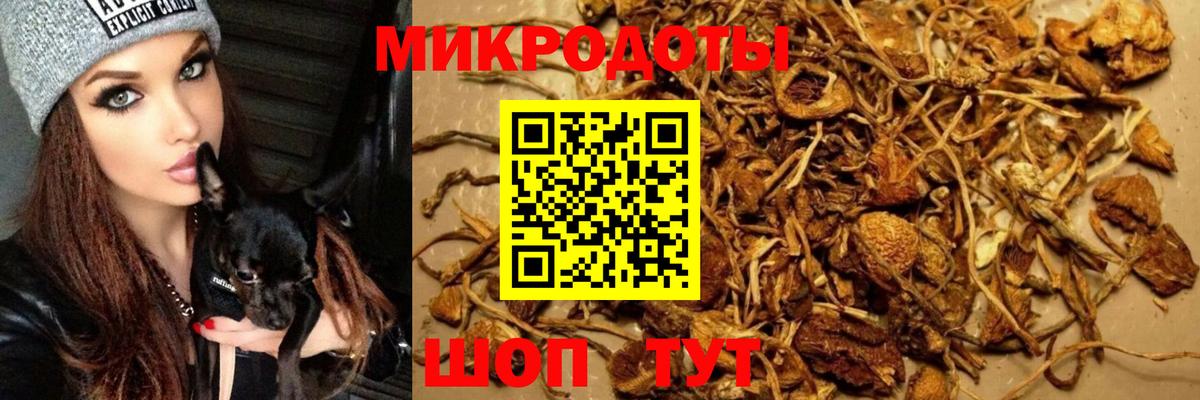 Галлюциногенные грибы MAGIC MUSHROOMS Нальчик